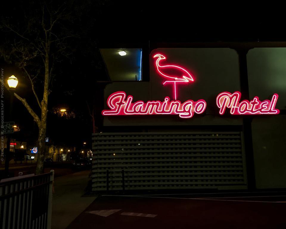 The Flamingo Motel 새너제이 외부 사진